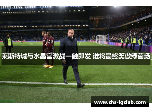 莱斯特城与水晶宫激战一触即发 谁将最终笑傲绿茵场 莱斯特城与水晶宫激战一触即发 谁将最终笑傲绿茵场
