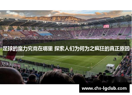 足球的魔力究竟在哪里 探索人们为何为之疯狂的真正原因