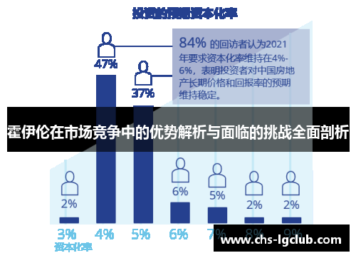 霍伊伦在市场竞争中的优势解析与面临的挑战全面剖析