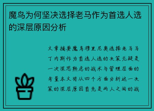 魔鸟为何坚决选择老马作为首选人选的深层原因分析